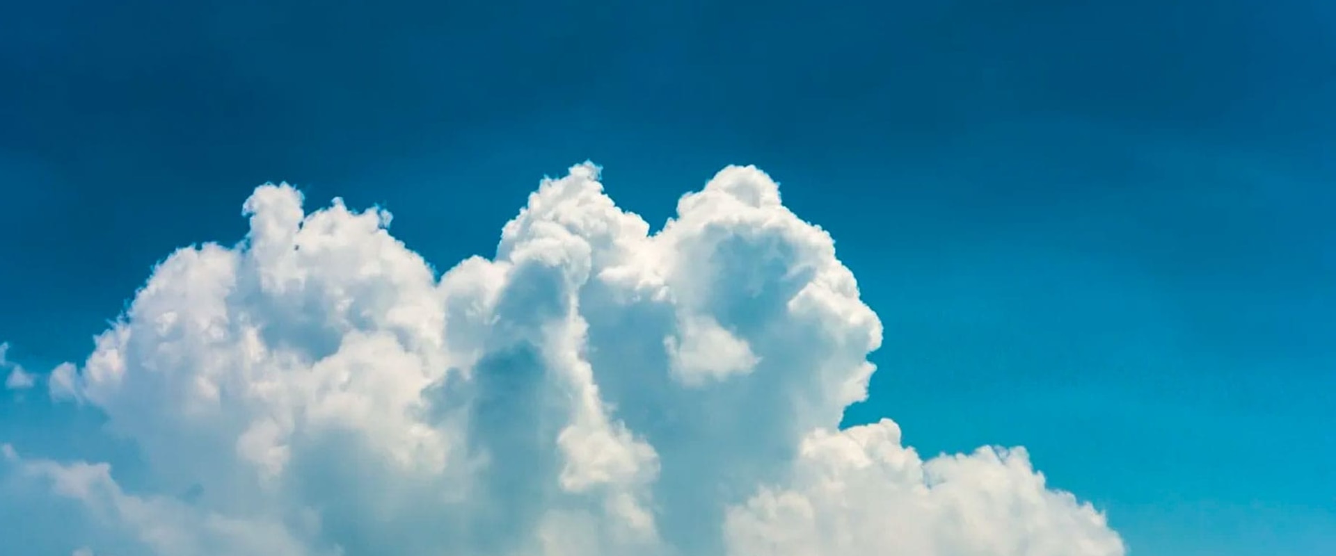 Why Your Hotel Needs a Cloud-Based Software System